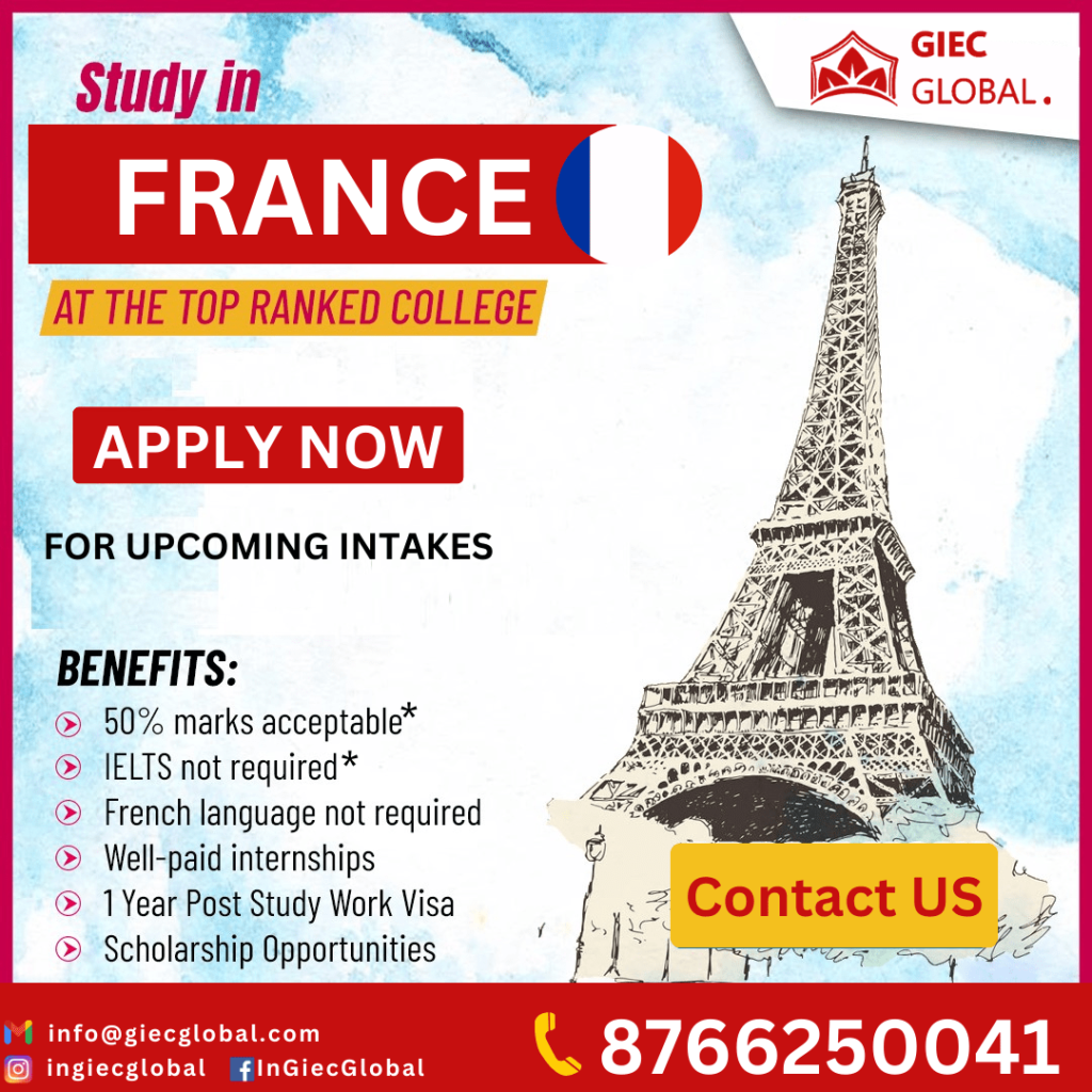 best study in france consultants