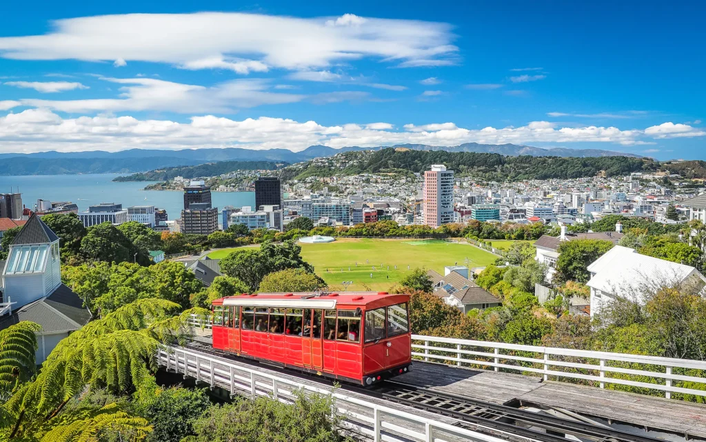 New Zealand immigration consultant