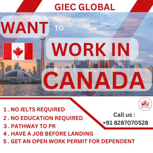 overseas job consultants in Delhi for Canada