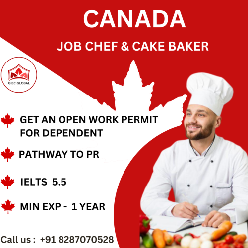 Best Canada LMIA and Work Visa Agents in Delhi, Gurgaon, Noida ...